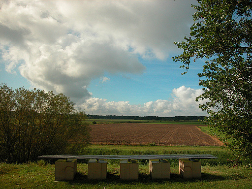 Foto van het kunstwerk