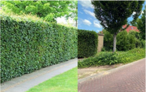 Voorbeelden erfafscheiding 2