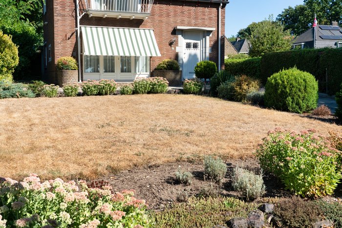 Droogte in de tuin