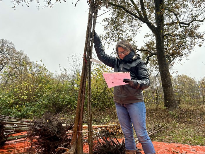 Een medewerker houdt een boom vast en controleert de bestelling